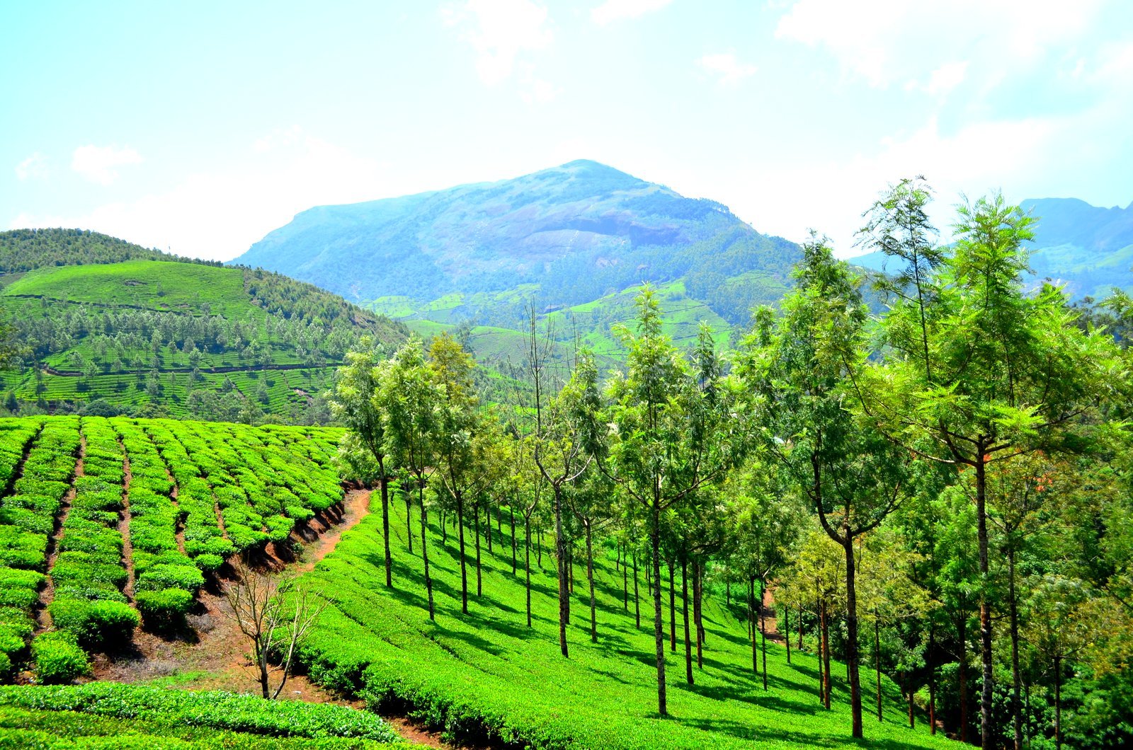 Best Monsoon Destinations in India to Visit in 2025 2 word image 1866 1
